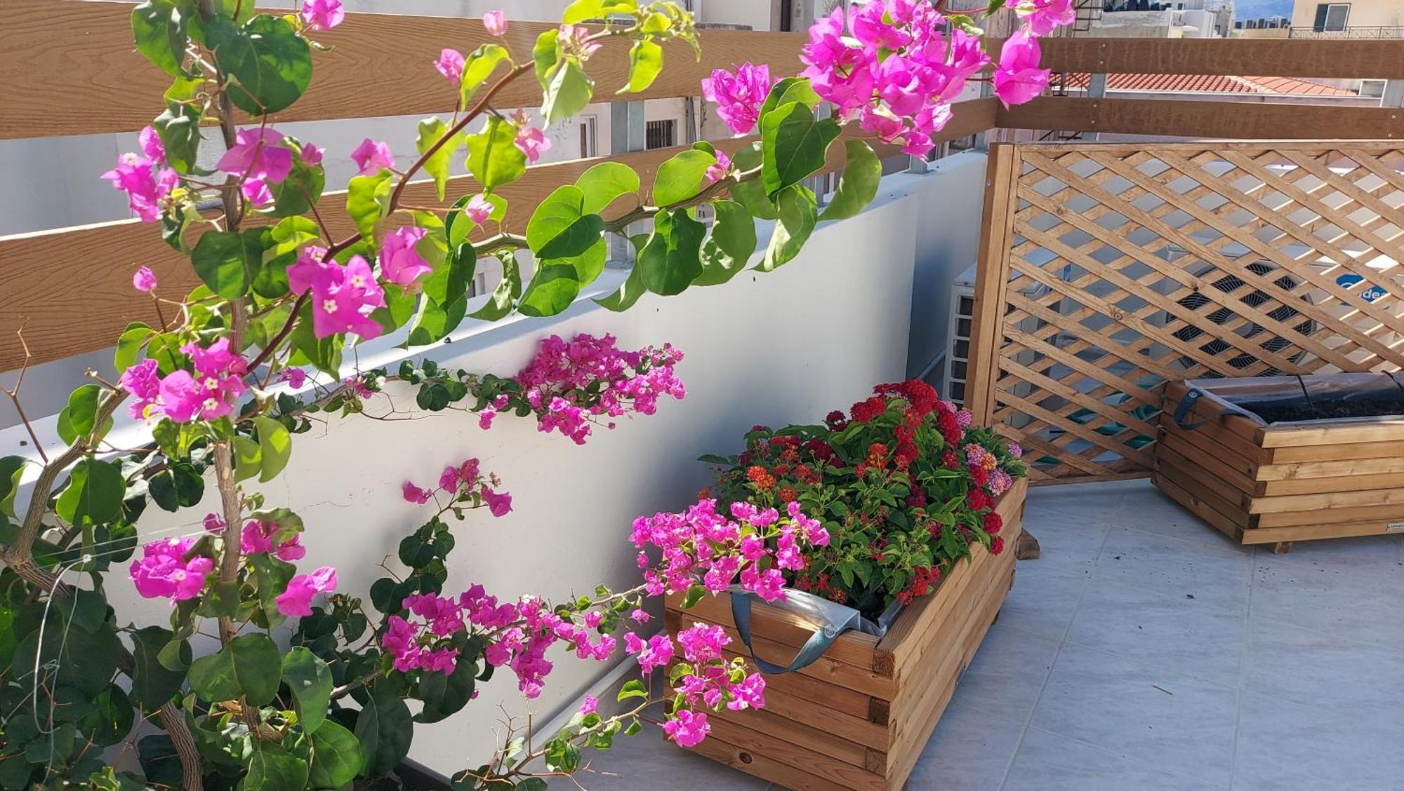 The Little Big Apartment In The Heart Of Heraklion Dış mekan fotoğraf