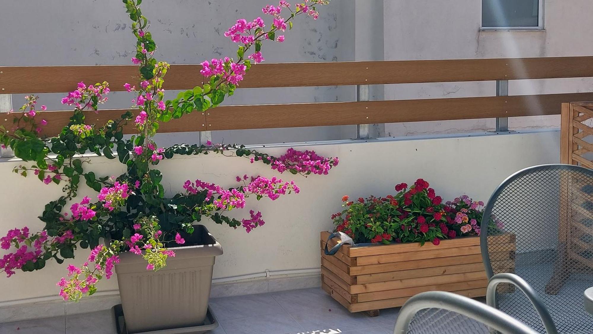 The Little Big Apartment In The Heart Of Heraklion Dış mekan fotoğraf